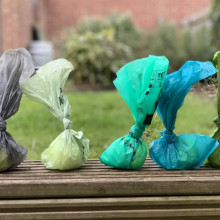 Are Compostable Pet Waste Bags Better?