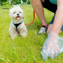 Benefits of Compostable Pet Waste Bags to Wildlife and the Environment