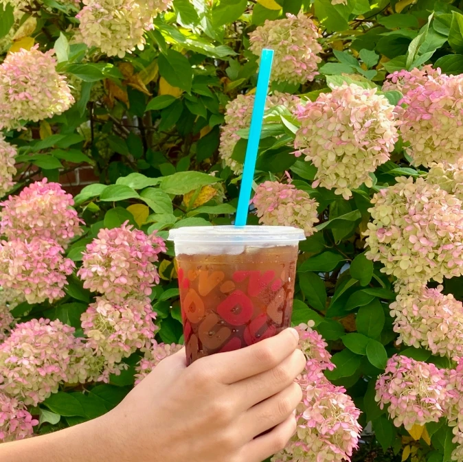 Compostable Straws