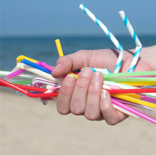 The Ultimate Guide to Choosing the Right Compostable Straws for Your Business