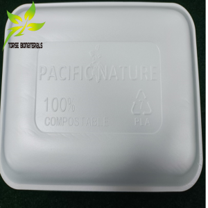 Biodegradable Compostable Disposable PLA High Strength Plates for Restaurant&Home