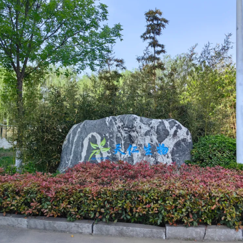 Nanle County Chamber of Commerce Recognizes Torise as an Outstanding Enterprise in Biodegradable Biomaterials