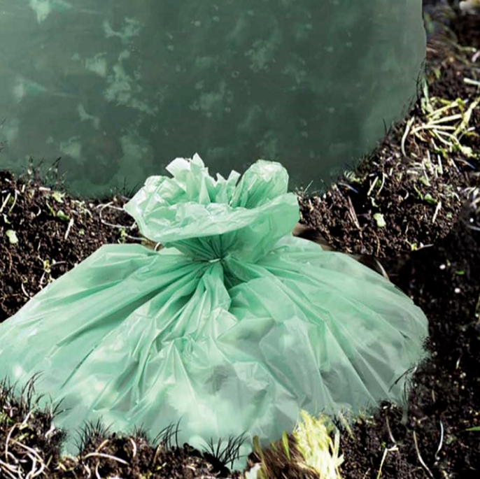 Debunking 5 Myths About Compostable Bags