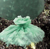 Debunking 5 Myths About Compostable Bags
