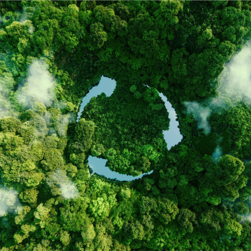 Reduce Waste, Boost Your Brand: The Power of Compostable Packaging