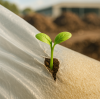 Common Raw Materials for Biodegradable Plastic Bags: PLA, PBAT, and Starch-Based Options