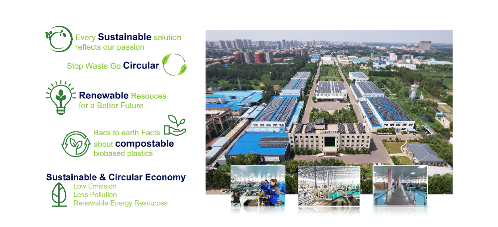 Compostable Bag Supplier