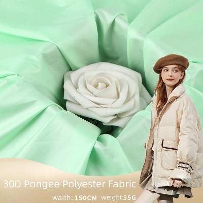 OEM & Wholesale 30D Pongee Polyester Fabric for Fall/Winter Cotton Down Apparel - Direct Factory Supply with Full Customization