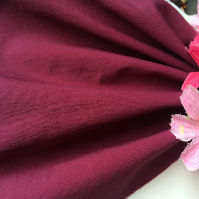 Manufacturer Direct: 220T Taslan Outdoor Sports Fabric for Cold-Proof Clothing