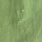 Hot Sell Water-resistant 280T Taslon 100% Nylon Fabric For Jackets\Down Jacket