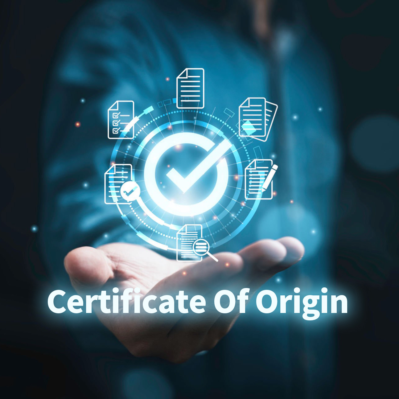 Certificate of Origin Processing