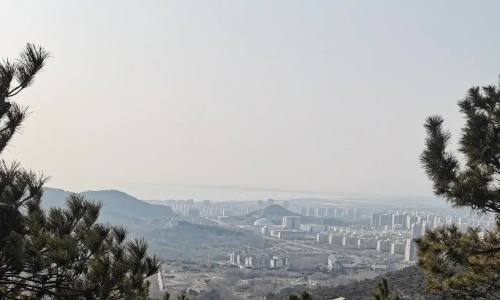 Lanshan District, Rizhao City: Village enterprises rush in both directions to jointly draw a "concentric circle" for rural revitalization