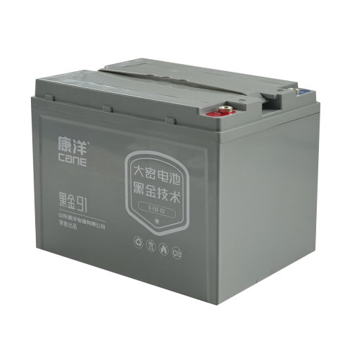 CANE Prestige 91 High-Capacity SLA Battery – 12V 62Ah (6-EVF-62)