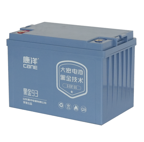 CANE Prestige 93 High-Capacity SLA Battery – 12V 66Ah (6-EVF-66)
