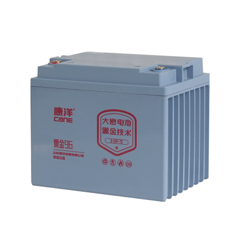 CANE Prestige 96 High-Capacity SLA Battery – 12V 73Ah (6-EVF-73)