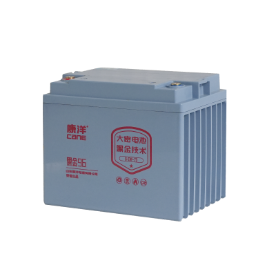 CANE Prestige 96 High-Capacity SLA Battery – 12V 73Ah (6-EVF-73)