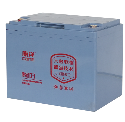 CANE Prestige 103 High-Capacity SLA Battery – 12V 83Ah (6-EVF-83)