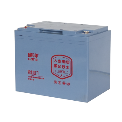 CANE Prestige 103 High-Capacity SLA Battery – 12V 83Ah (6-EVF-83)