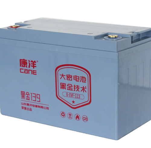 CANE Prestige 139 High-Capacity SLA Battery – 12V 113Ah (6-EVF-113)