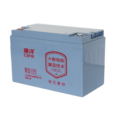 CANE Prestige 139 High-Capacity SLA Battery – 12V 113Ah (6-EVF-113)