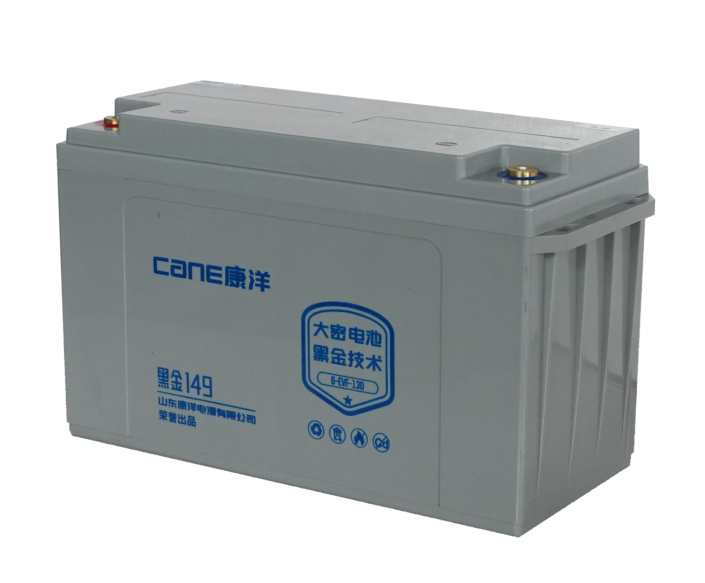 cane_black_gold_65_premium_battery_b-evf-52_02.jpg