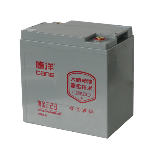 CANE Prestige 228 High-Capacity SLA Battery – 6V 210Ah (3-EVF-210)