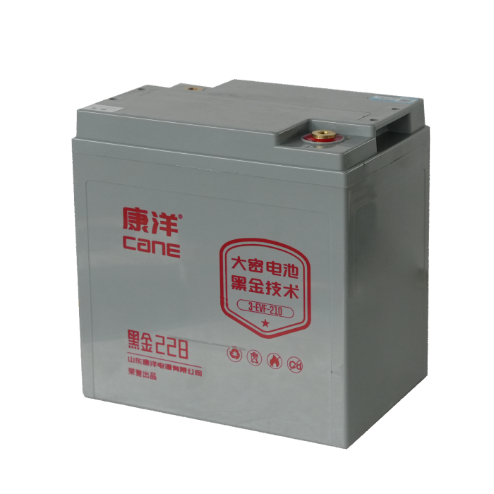 CANE Prestige 228 High-Capacity SLA Battery – 6V 210Ah (3-EVF-210)