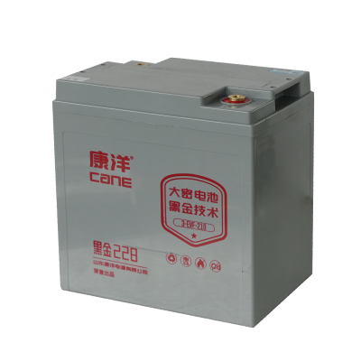 CANE Prestige 228 High-Capacity SLA Battery – 6V 210Ah (3-EVF-210)