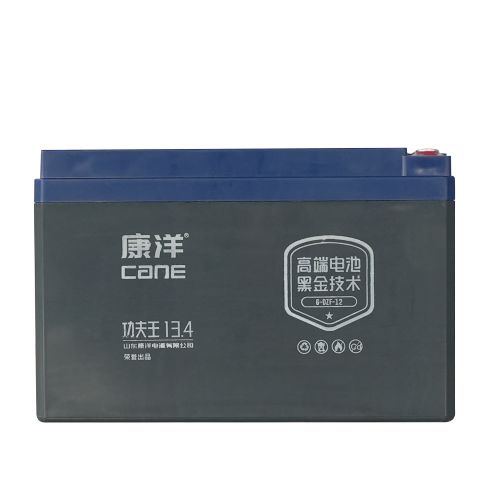 CANE Compact SLA Battery Kung Fu King 13.4 – 12V 12Ah (6-DZF-12)