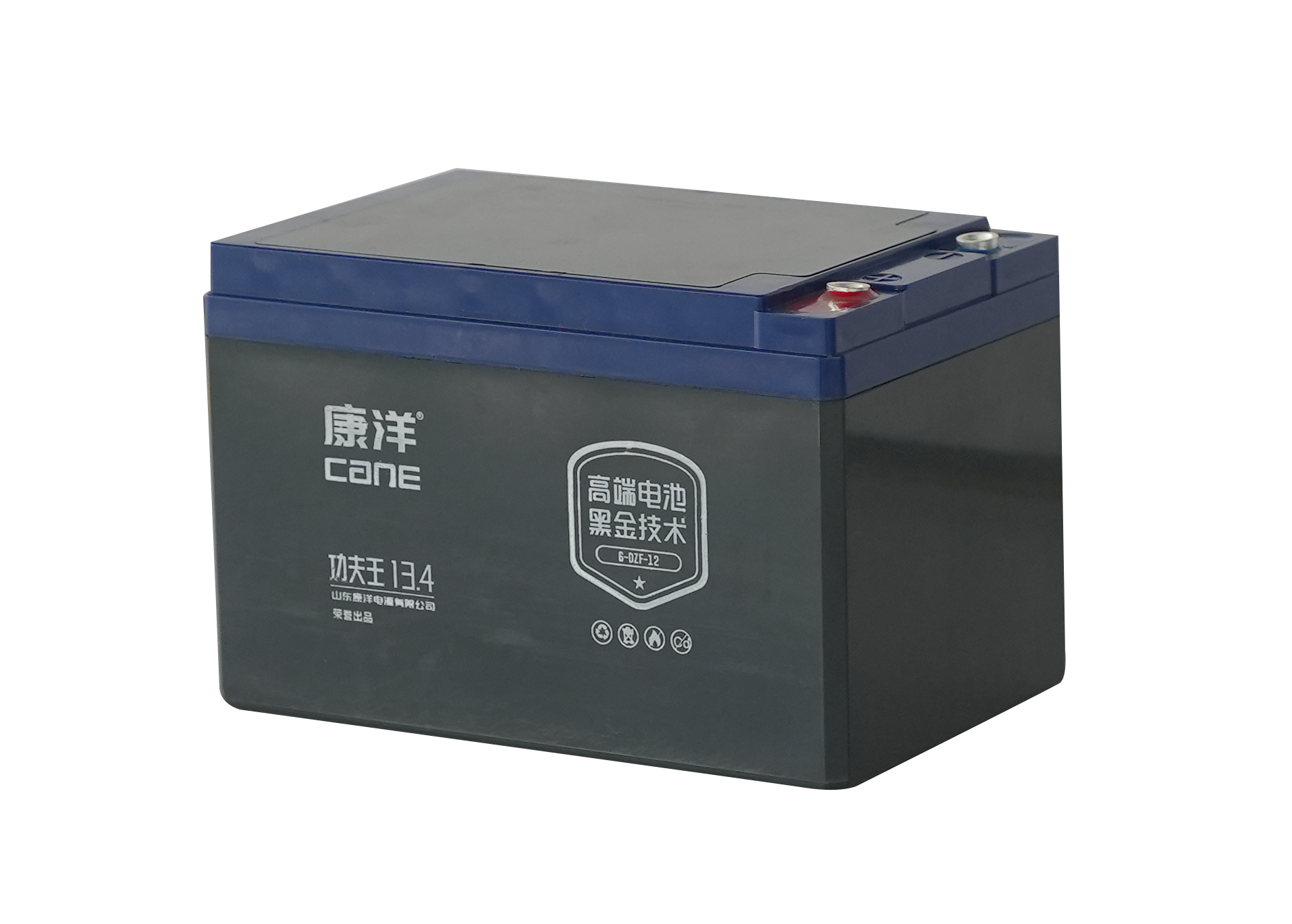 cane_lead_lithium_high_density_139_battery_6-evf-113_02.jpg