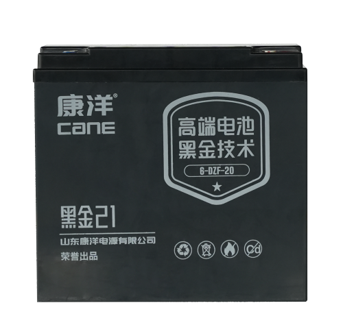 CANE Prestige 21 Compact SLA Battery – 12V 20Ah (6-DZF-20)