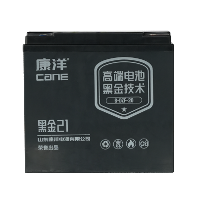 CANE Prestige 21 Compact SLA Battery – 12V 20Ah (6-DZF-20)