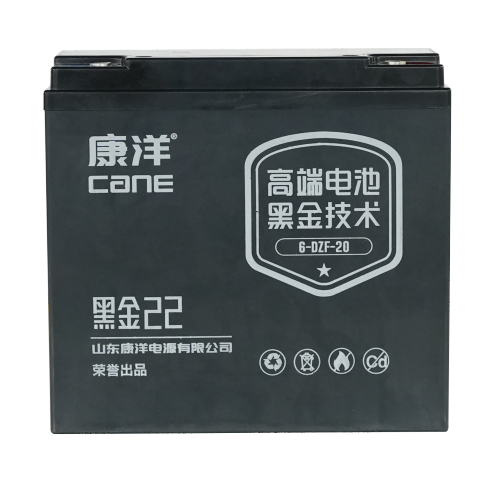 CANE Prestige 22 Compact SLA Battery – 12V 20Ah (6-DZF-20)