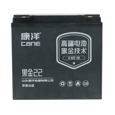 CANE Prestige 22 Compact SLA Battery – 12V 20Ah (6-DZF-20)