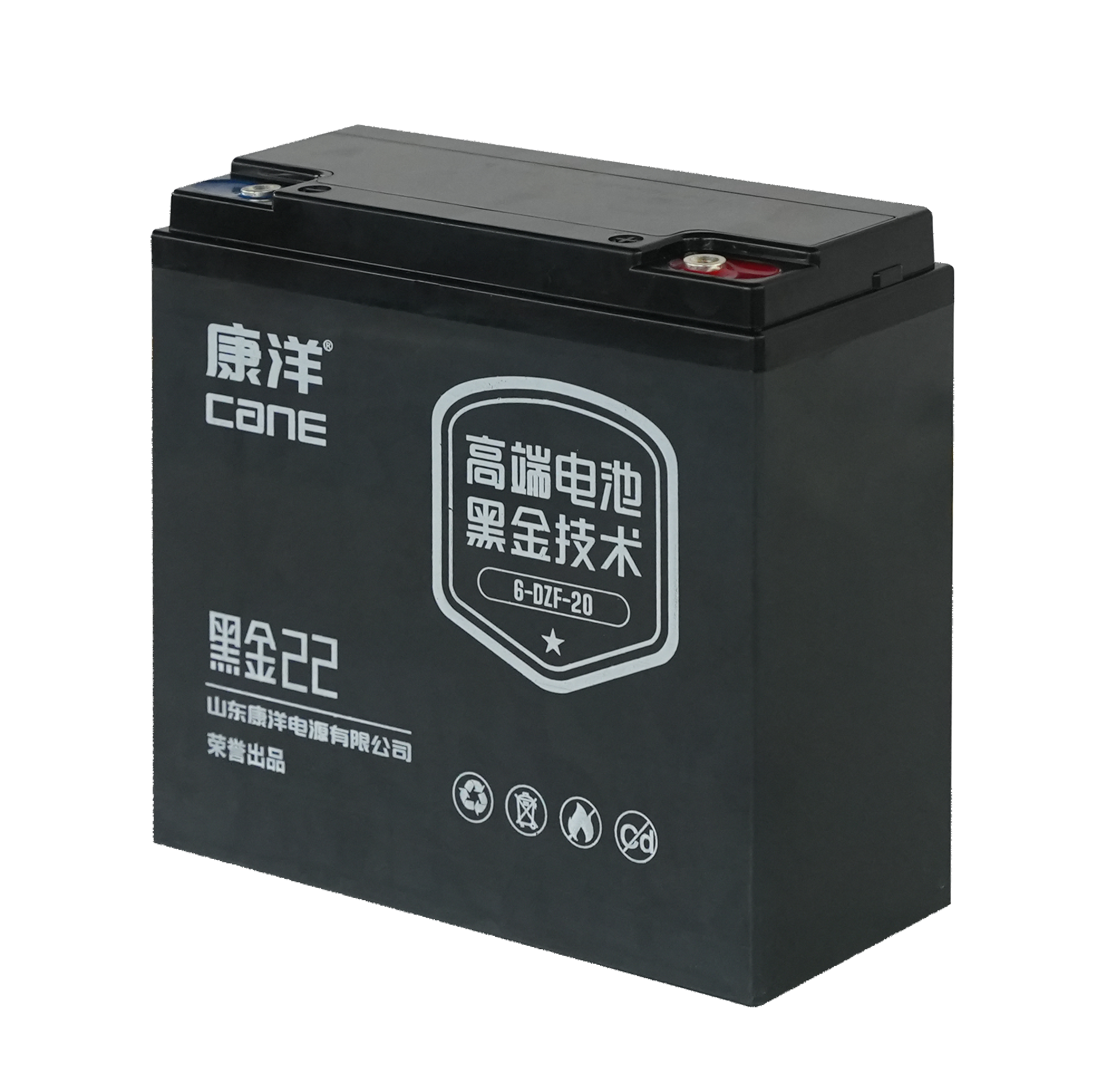 cane_lead_lithium_high_density_130_battery_6-evf-103.jpg