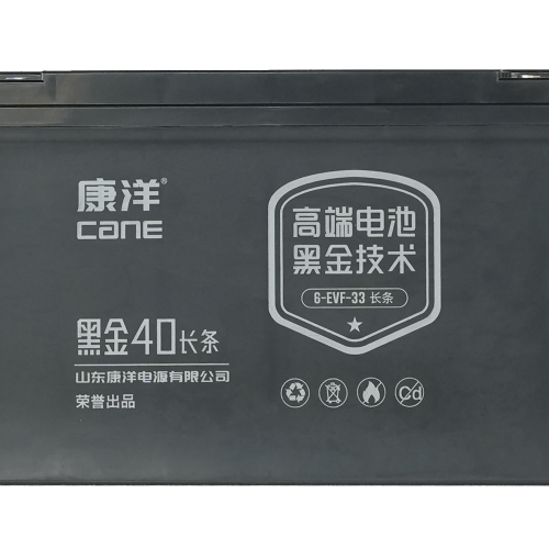 CANE Prestige 40 Long Compact SLA Battery – 12V 33Ah (6-EVF-33)