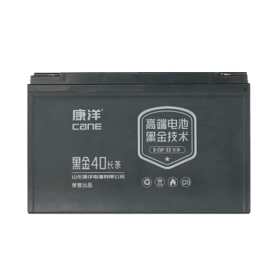 CANE Prestige 40 Long Compact SLA Battery – 12V 33Ah (6-EVF-33)
