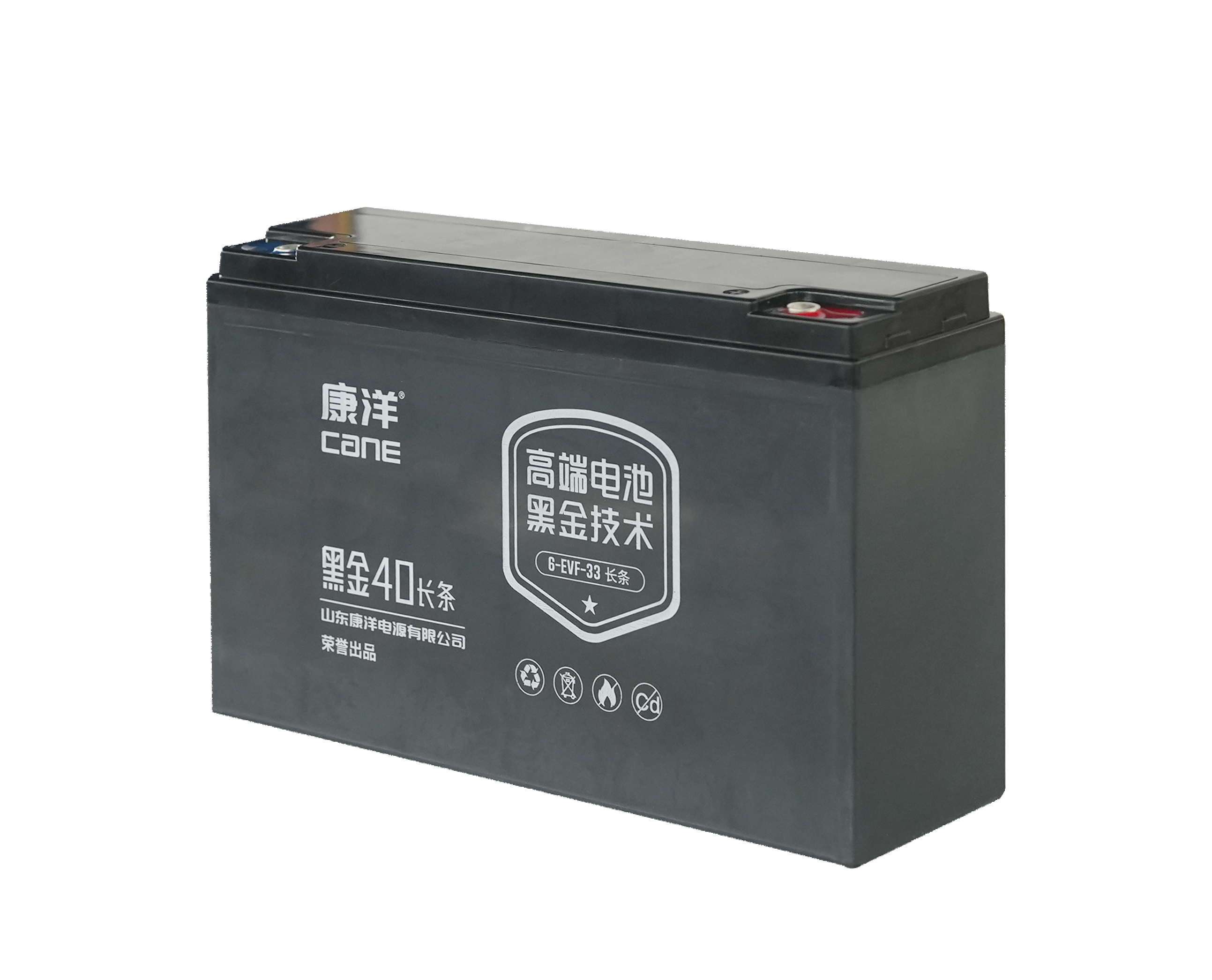 cane_lead_lithium_battery_62_type_6-evf-45_02.jpg