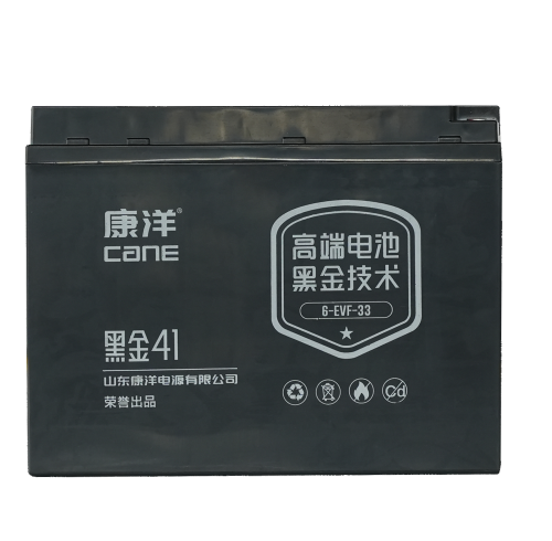CANE Prestige 41 Compact SLA Battery – 12V 33Ah (6-EVF-33)