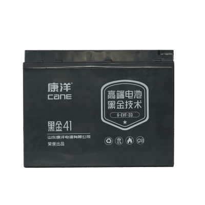 CANE Prestige 41 Compact SLA Battery – 12V 33Ah (6-EVF-33)