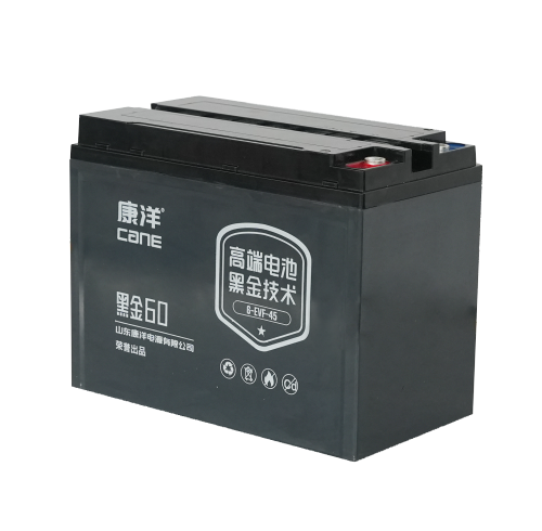 CANE Prestige 60 Compact SLA Battery – 12V 45Ah (6-EVF-45)