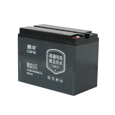 CANE Prestige 60 Compact SLA Battery – 12V 45Ah (6-EVF-45)