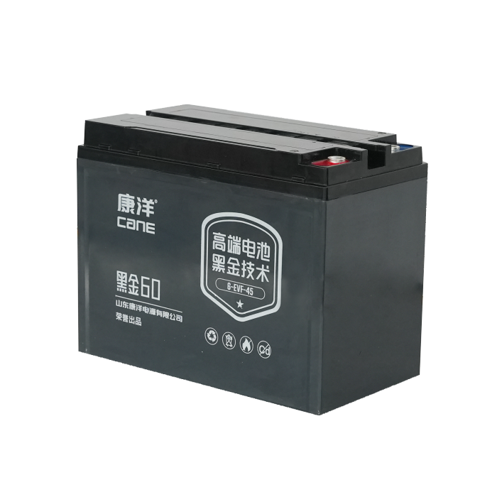 CANE Prestige 60 Compact SLA Battery – 12V 45Ah (6-EVF-45)