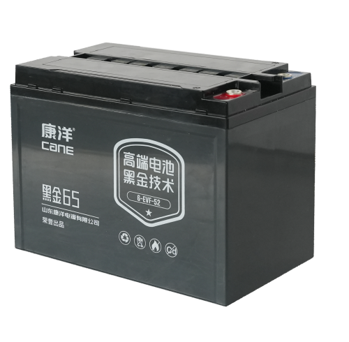 CANE Prestige 65 Compact SLA Battery – 12V 52Ah (6-EVF-52)