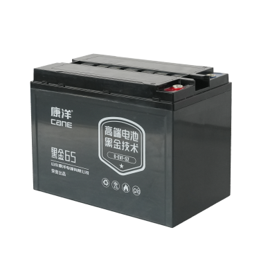CANE Prestige 65 Compact SLA Battery – 12V 52Ah (6-EVF-52)