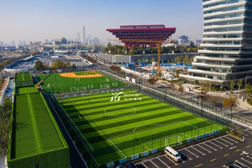 Hot-sell Football Artificial Grass Multifunction Playground Grass Outside Cage Football Field Artificial Turf