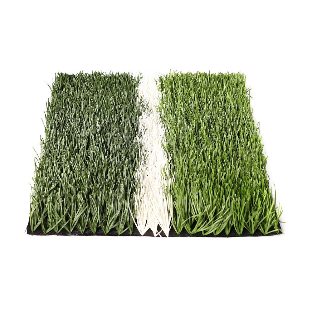 Football Grass