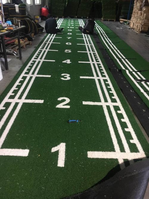 Customizable Premium Gym Grass: Elevate Your Sports Floor Mats with Personalized Colors and Patterns