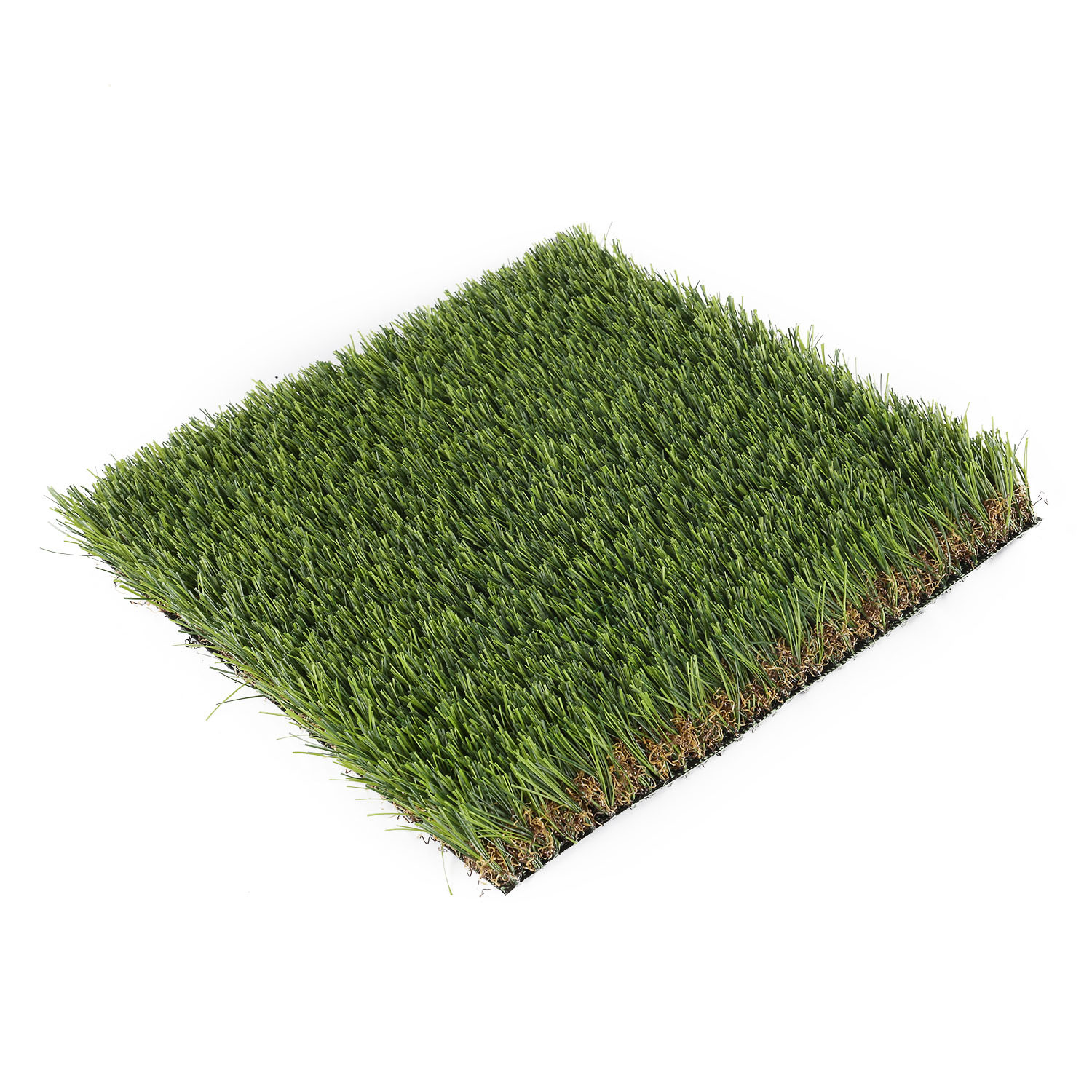 Landscape Grass