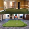 Gazon artificiel flexible pour le mini-golf d'arrière-cour mettant des verts